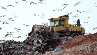 Landfill facts and statistics  A global problem [upl. by Salocin737]