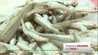 Auchan  Les poissons maigres et gras [upl. by Mccullough]