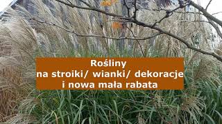 Rośliny na stroiki wianki dekoracje oraz nowa mała rabata [upl. by Yadnus]