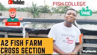 CROSS SECTION OF A2 FARM The biggest FISH FARM IN NIGERIA Interactive section with Fish college [upl. by Zolner]