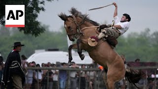 Argentines celebrate Tradition Day showcasing the gaucho culture [upl. by Haral]