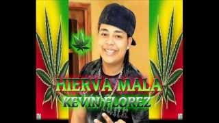 HIERBA MALAKEVIN FLOREZ [upl. by Ayor]