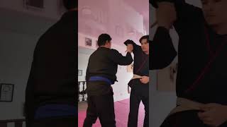 Luxación de muñeca artesmarciales ninjatraining martialarts bujinkan youtubeshorts [upl. by Beverle338]