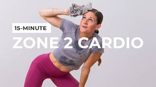 15Minute Zone 2 Cardio with Weights All Standing No Jumping [upl. by Ayian]