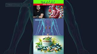 Dr ZeeOne of the Best natural Antihistamine Remedy shorts ytshorts allergies [upl. by Issiah156]