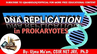 DNA REPLICATION in prokaryotes molecular biology molecular inheritance  CSIR NET LIFE SCIENC [upl. by Andrel417]