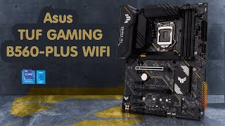 Asus TUF GAMING B560PLUS WIFI  Unboxing en Español [upl. by Rehptsirhc]