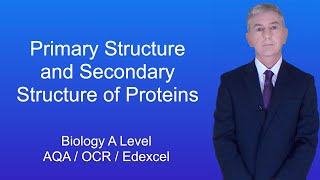 A Level Biology Revision quotPrimary Structure and Secondary Structure of Proteinsquot [upl. by Adleremse580]