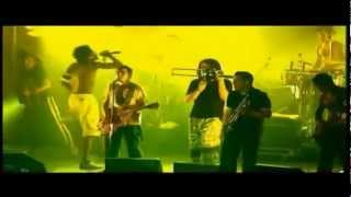 Manu Chao Sound System Mama Perfecta Blood and Fire [upl. by Brooking]