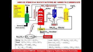 Preparation of sodium carbonate  solvay process  Alkali amp alkaline earth metals  TN class 11 [upl. by Nitsuga]