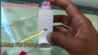 Budecort Inhaler Uses  How to Use Budecort Inhaler  Budecort Pump for Asthma [upl. by Ziom153]