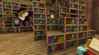 Versteckte Bücherregale  BlockShopServer [upl. by Gloriana951]