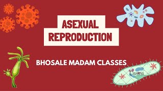 Asexual Reproduction  Science  Class 10th class10th Science cbse trending [upl. by Nyleimaj]