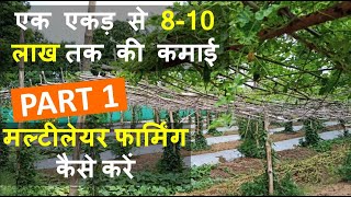 मल्टीलेयर फार्मिंग कैसे करे  How to do Multilayer Farming  In India  Part 1  Creative Kisan [upl. by Anelrahs834]