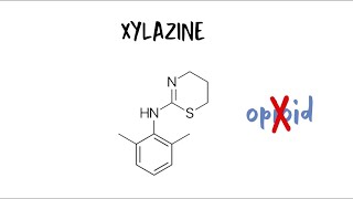 Xylazine 101 [upl. by Buckie568]