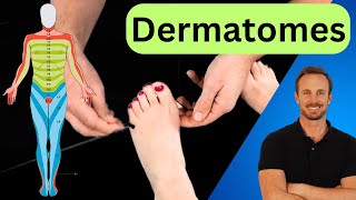 LOWER LIMB DERMATOMES  Neurological Test [upl. by Hafinah]