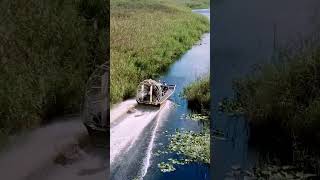 Wild Twister Airboat Ride [upl. by Enej]