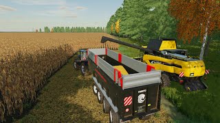 Big Filed Corn Harvesting And Contract Grass Cutting Farming Simulator 22 [upl. by Sacha84]