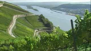 Rheingau  Deutsches Weinanbaugebiet [upl. by Dehlia]