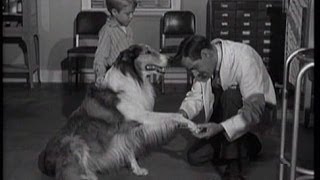 Lassie  Episode 125  quotInoculationquot  Season 4 22 2021958 [upl. by Nessah]