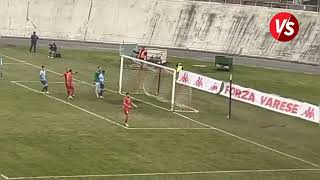 Highlights Varese  Chieri 21 Serie D Girone A  15 giornata [upl. by Akilaz]