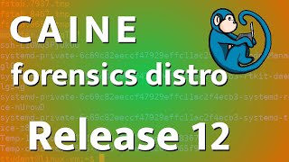 CAINE 124 new release  review vs CAINE 11 [upl. by Lekcar]