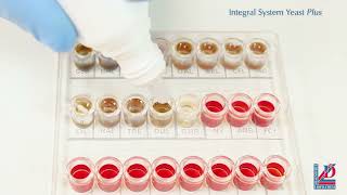 Integral System Yeasts Plus [upl. by Danielle]