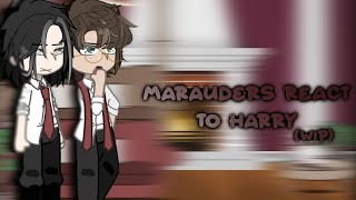 Marauders react to harry potter WIP [upl. by Arlette183]