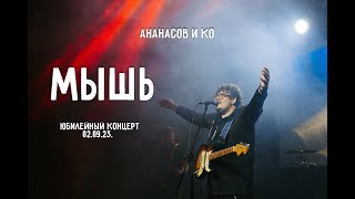 Ананасов и Ко Мышь 020923 гарриананасов ананасов русскийрок челябинск мышь рокнролл [upl. by Narut]