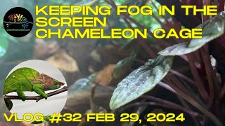 Keeping Fog in the Screen Chameleon Cage [upl. by Inigo]