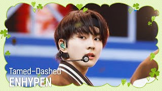 행복이 가득한 2월 특집 ENHYPEN 엔하이픈  TamedDashed 엠카운트다운 EP829 [upl. by Nevak]