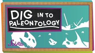 Dig In To Paleontology [upl. by Zulch283]