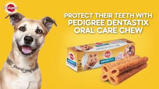 Introducing Pedigree Dentastix Advance [upl. by Batish]