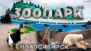 Новосибирский ЗООПАРК им ШИЛО  Новосибирск  новосибирск зоопаркновосибирск [upl. by Ayenet]