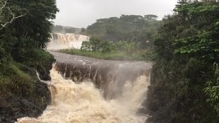 Wailuku River Video Scott Yoshizumi [upl. by Nnylhtak754]