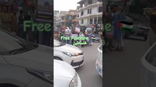 Free Palestine  JAMAT E ISLAMI PROTEST NEAR BAHRIA TOWN Rawalpindi shortsfeed freeplastine [upl. by Ardnoik]