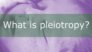 What is Pleiotropy [upl. by Enrev383]