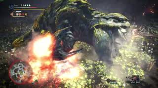 Solo Raging Brachydios with Aerial Insect Glaive No palico tools wallbangs and weapon augments [upl. by Suciram]