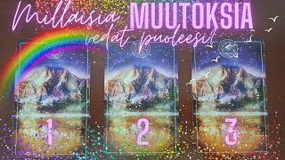 Millaisia muutoksia vedät puoleesi🔮TAROT🔮 valitse henkieläin🦇 [upl. by Yram6]