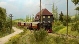 MODELSPOOR EXPO MTD TREINENCLUB EDEGEM 2024  Part 3 [upl. by Malkin477]