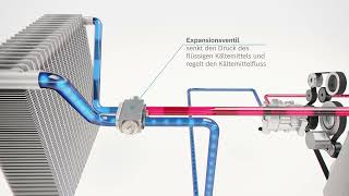 DE  Animation Klimakreislauf [upl. by Bringhurst]