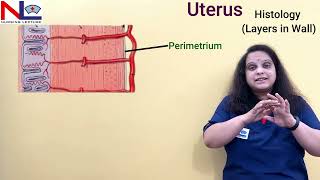 Uterus  Female internal genital organ  Nursing Lecture [upl. by Curtice]