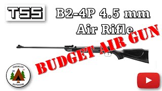 TSS B24P 45 mm 177 cal Budget Air Rifle  Mini Review [upl. by Mariejeanne515]