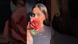 Weird blush 🌹 blush itistanyasingh youtube shortsvideo makeup [upl. by Torrey]