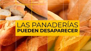 LAS PANADERÍAS PUEDEN DESAPARECER cobran el pan menos de lo que vale para poder vender [upl. by Airitak]