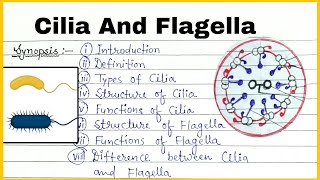 Structure of Flagella and cilia in detail [upl. by Tseng]