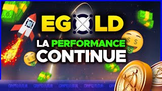 EGLD LA PERFORMANCE CONTINUE  NEW ICO  🤑 [upl. by Gelb885]