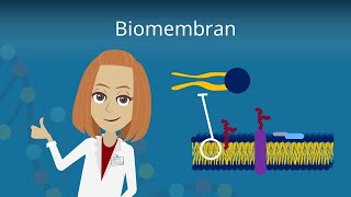 Biomembran  Aufbau und Funktion [upl. by Stephine617]