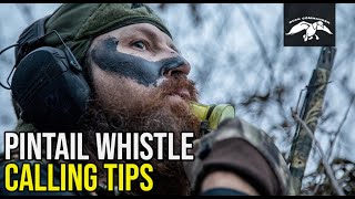 Pintail Whistle  Duck Calling Tips [upl. by Boehike887]