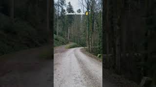 BadenBaden music punjabisong nature europeanvacation germany song viralvideo newsong one [upl. by Reynard]